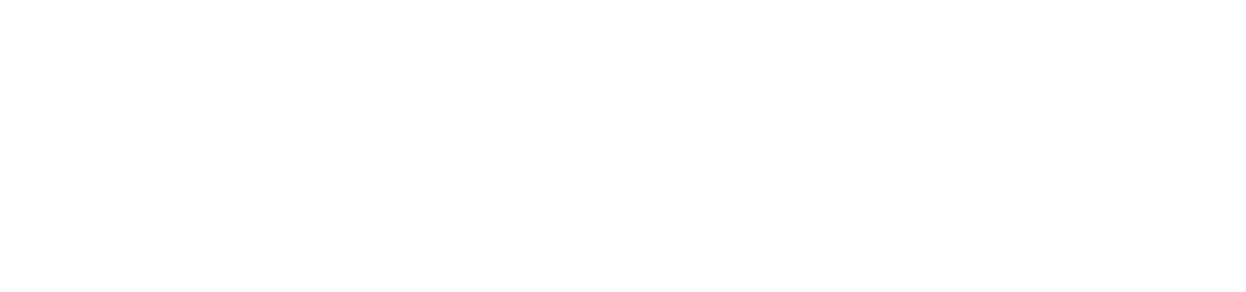 Logo Enkki blanc